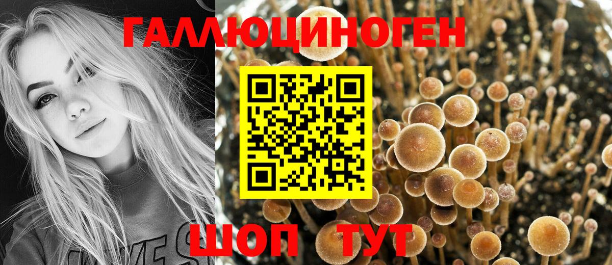 Галлюциногенные грибы мицелий  Вход с VPN  Тулун 