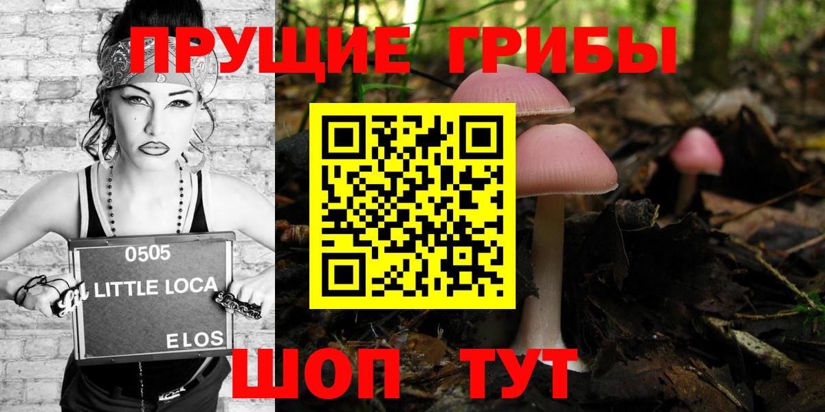 Галлюциногенные грибы Psilocybine cubensis Тулун